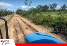 Reyes proyecta convertirse en un municipio productivo con la mirada puesta en la agroindustria Reyes apuesta por su potencial productivo/ Foto: Internet