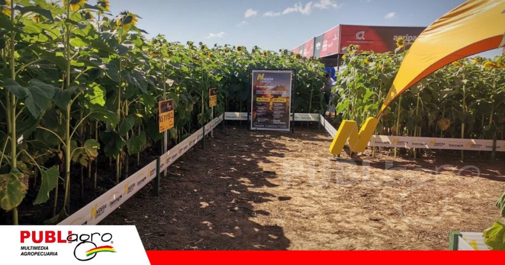 Interagro mostró su nueva generación de híbridos para el agro/ Foto: Publiagro