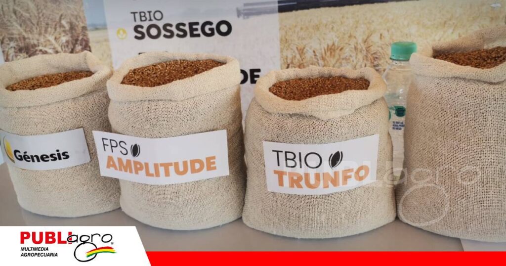 FOTO NOTAS WEB - 2026-07-17T221701.972 Más de 15 nuevas variedades de trigo buscan impulsar la productividad/ Publiagro