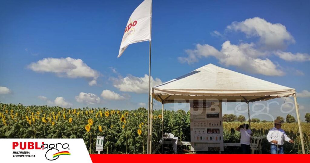 FOTO NOTAS WEB - 2026-07-17T221908.155 Anapo mostró variedad de cultivos para la campaña de invierno/ Foto: Publiagro