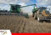 Falta de diésel pone en riesgo 800.000 toneladas de soya y paraliza siembra en Santa Cruz, alerta expresidente de Anapo La maquinaria agrícola requiere un suministro continuo de diésel para garantizar la cosecha y el transporte oportuno de los granos. / Foto: Eju