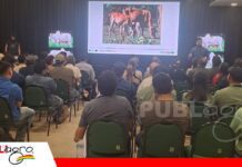 Una buena nutrición activa la reproducción y mejora la eficiencia del ganado bovino Estrategias nutricionales por época y categoría/ Foto: Publiagro