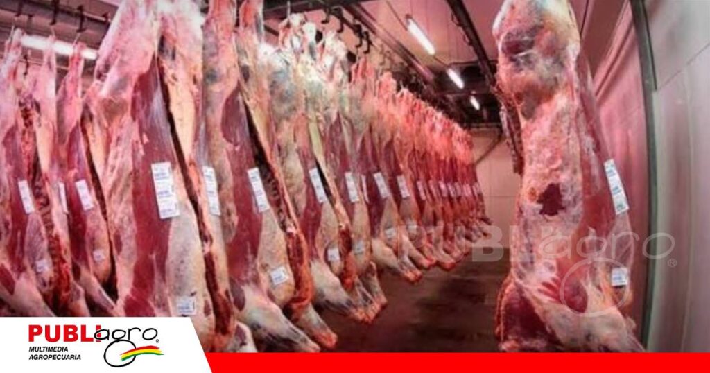 FOTO NOTAS WEB - 2026-07-18T142233.517 China como principal comprador y Japón próximo a abrir mercado a Brasil/ Foto: Internet