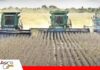 Productores alertan una crisis agrícola por falta de combustible Falta de diésel pone en riesgo la producción agrícola en Santa Cruz/ Foto: Internet