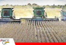 Productores alertan una crisis agrícola por falta de combustible Falta de diésel pone en riesgo la producción agrícola en Santa Cruz/ Foto: Internet