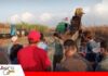En Cuatro Cañadas está la primera fábrica de máquinas sembradoras de granos Cuatro Cañadas un municipio en progreso/ Foto: Internet