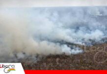 El fenómeno de El Niño ya golpea a Bolivia y crece riesgo de un escenario climático extremo Mientras el país ya enfrenta incendios y fuertes viento/ Foto: Internet