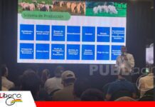 Más datos y mejor genética para una ganadería eficiente y competitiva La rentabilidad ganadera se mide en kilos producidos por hectárea/ Foto: Publiagro