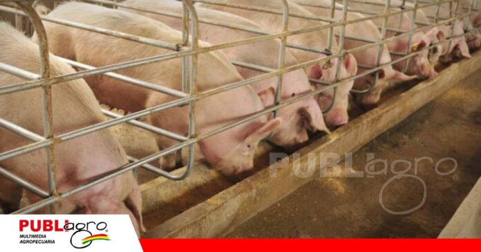 La nueva era de la precisión en la producción/ Foto: Internet