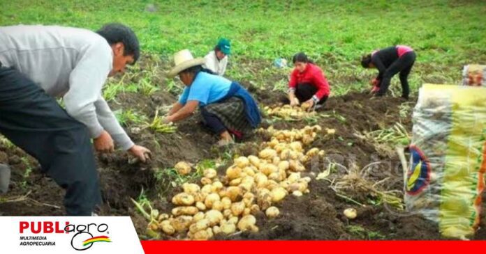 FOTO NOTAS WEB - 2026-07-21T162820.381 Denuncian que insumos suben hasta tres veces más/ Foto: Interagro