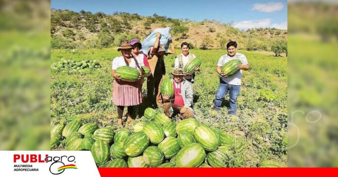 FOTO NOTAS WEB - 2026-07-21T193530.856 Cochabamba lidera la producción de frutas/ Foto: Internet