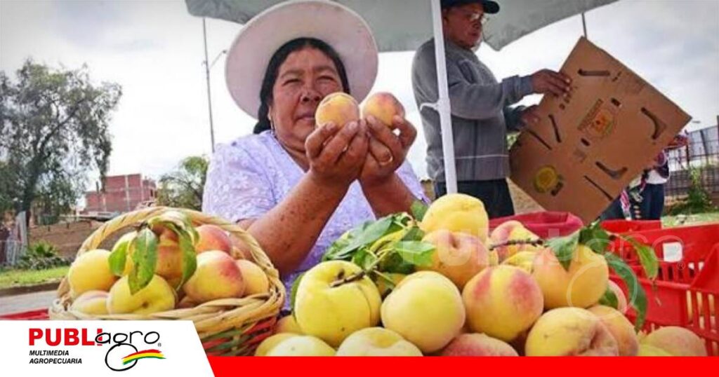 FOTO NOTAS WEB - 2026-07-21T193552.405 Bolivia cosecha cifras históricas en producción de frutas/ Foto: Internet