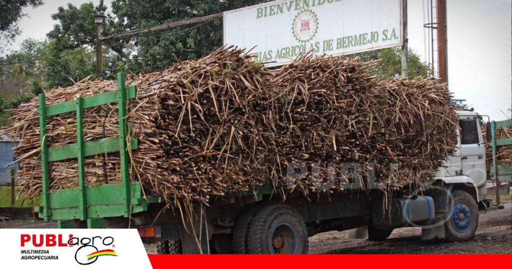 Retraso de la zafra preocupa al sector cañero/ Foto: Internet
