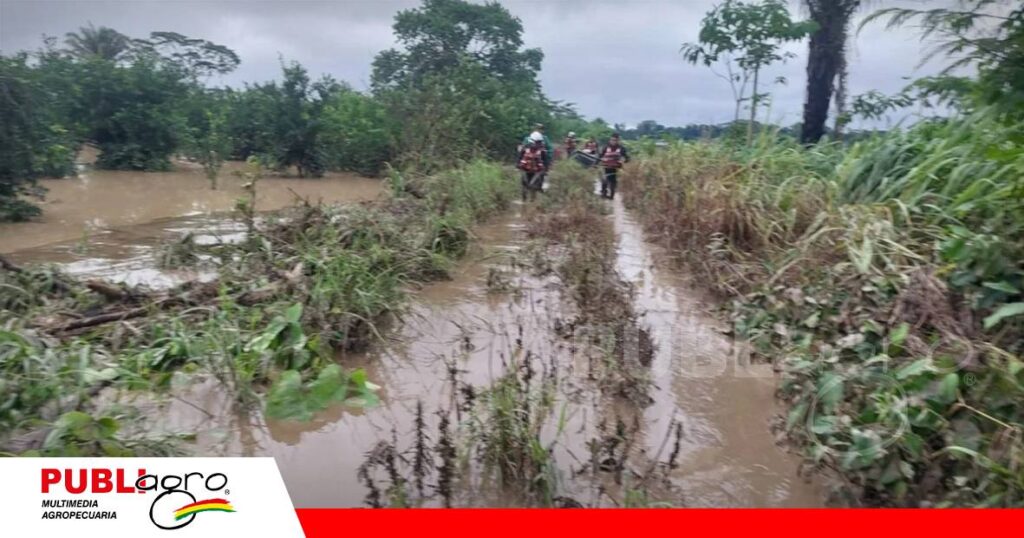 FOTO NOTAS WEB - 2026-07-25T115601.621 En una anterior inundación la soya quedó bajo el agua/ Foto: Archivo Internet