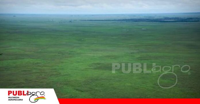 FOTO NOTAS WEB - 2026-07-25T143407.207 Sector agropecuario de Ballivián llama a unir esfuerzos para impulsar el desarrollo productivo/ Foto: Internet