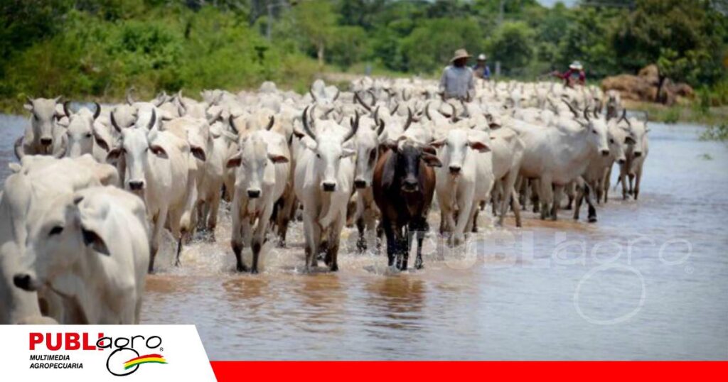 FOTO NOTAS WEB - 2026-07-25T143428.099 Beni busca abrir una nueva etapa de crecimiento con una visión agroindustrial y exportadora/ Foto: Internet