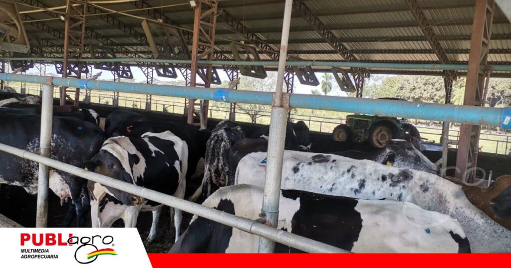 Espacios adecuados para descanso, ventilación y regulación de temperatura/Foto: Publiagro