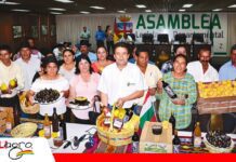 Vallegrande asegura financiamiento para un matadero porcino y una planta procesadora de frutas Gobierno financia dos proyectos estratégicos/ Foto: Internet