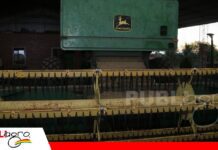Colonia Belice II exhibe potencial agrícola para impulsar el desarrollo del Beni Belice II muestra su modelo productivo/ Foto: Notiamazonico
