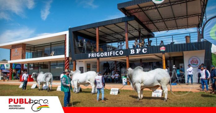 Fexposiv 2026 tendrá juzgamiento de animales de alto valor genético/ Foto: Fexposiv