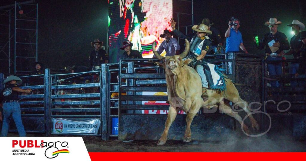 Otro de los atractivos de la Fexposiv es el rodeo de toro y caballos/ Foto: Fexposiv