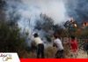 Fenómeno de El Niño proyecta sequías, altas temperaturas y mayor riesgo de incendios El Niño podría y mayor riesgo de incendios/ Foto: Internet