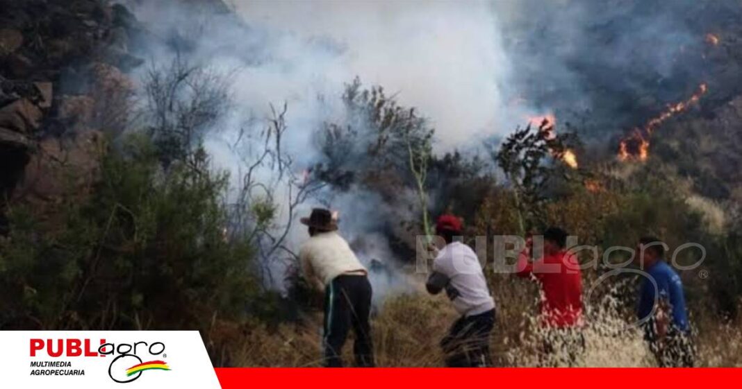FOTO NOTAS WEB (45) El Niño podría y mayor riesgo de incendios/ Foto: Internet