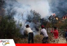 Fenómeno de El Niño proyecta sequías, altas temperaturas y mayor riesgo de incendios El Niño podría y mayor riesgo de incendios/ Foto: Internet