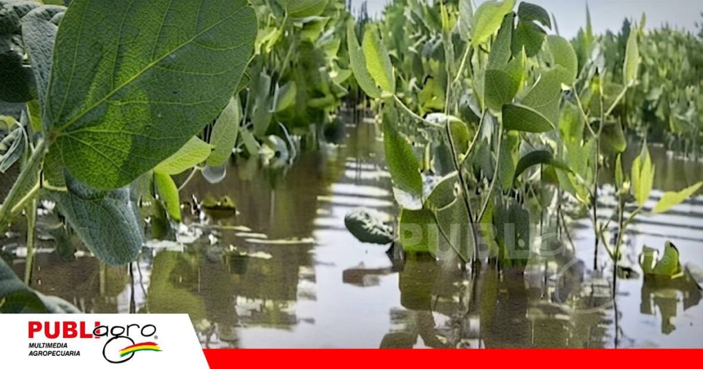 Las recientes inundaciones y la escasez de diésel amenazan unas 5.000 hectáreas de producción agrícola / Foto: Internet