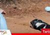 Rabia bovina pone en alerta a Tarija: Senasag confirma un caso y productores denuncian mortandad Rabia bovina amenaza al hato tarijeño/ Foto: Internet