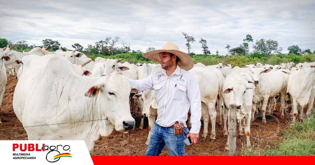 FOTO NOTAS WEB (53) Leonardo Ardaya hijo ahora ve todo el tema de genética y tecnología/ Foto: Cabaña Jenecheru