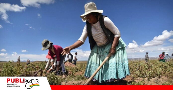 FOTO NOTAS WEB (57) Pequeños productores buscan convertirse en pequeños empresarios/ Foto: Internet