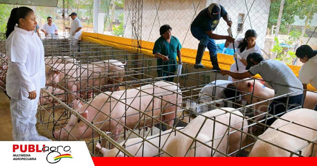 FOTO NOTAS WEB (57) Estudio epidemiológico apunta a fortalecer la sanidad/ Foto: Senasag
