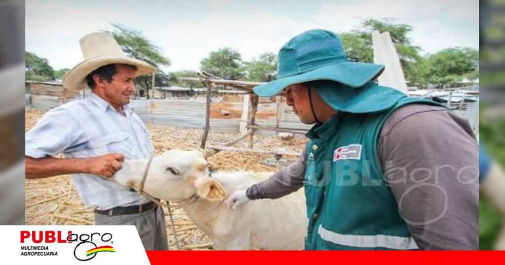FOTO NOTAS WEB (60) Palos Blancos supera las 1.500 reses vacunadas/ Foto: Internet