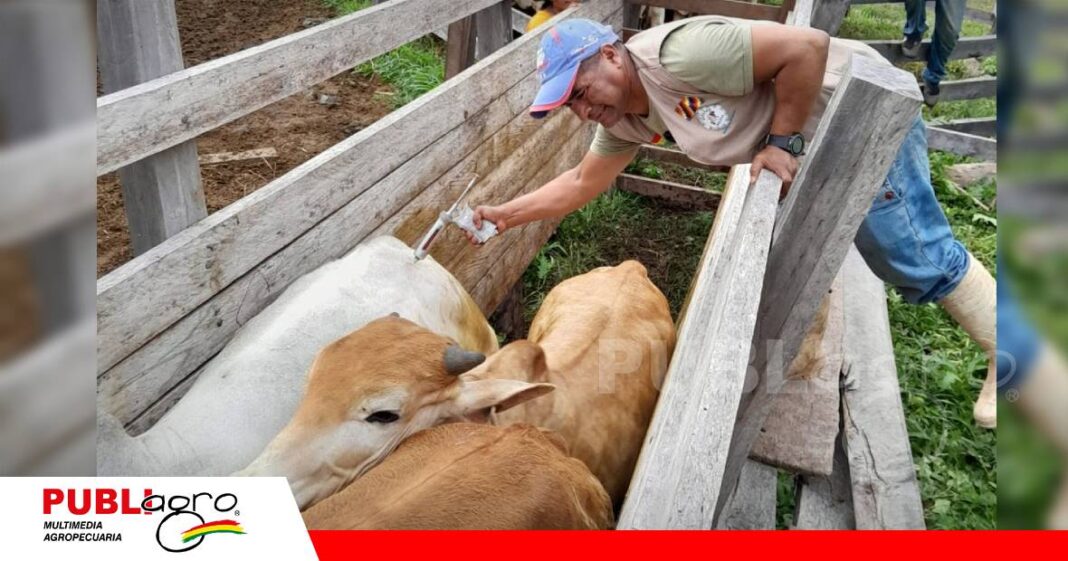 FOTO NOTAS WEB (61) Vacunación contra la clostridiosis en Palos Blancos/ Foto: Internet