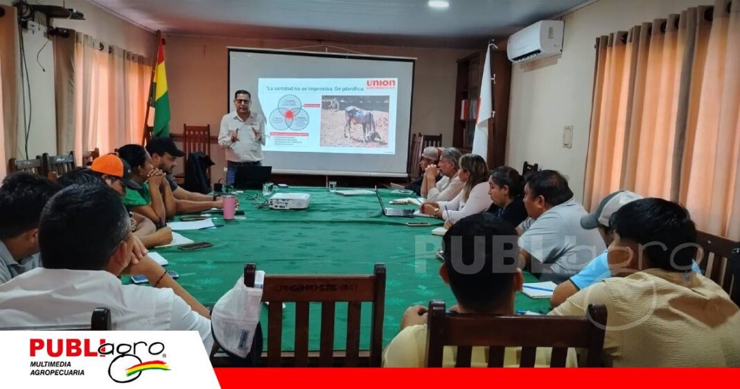 Capacitación fortalece al sector ganadero/ Foto: Unión Agronegocios