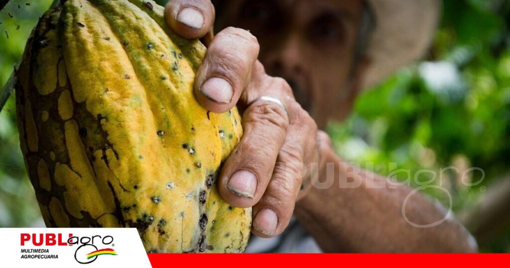 Beni reunirá a los protagonistas de la cadena del cacao/ Foto: Internet
