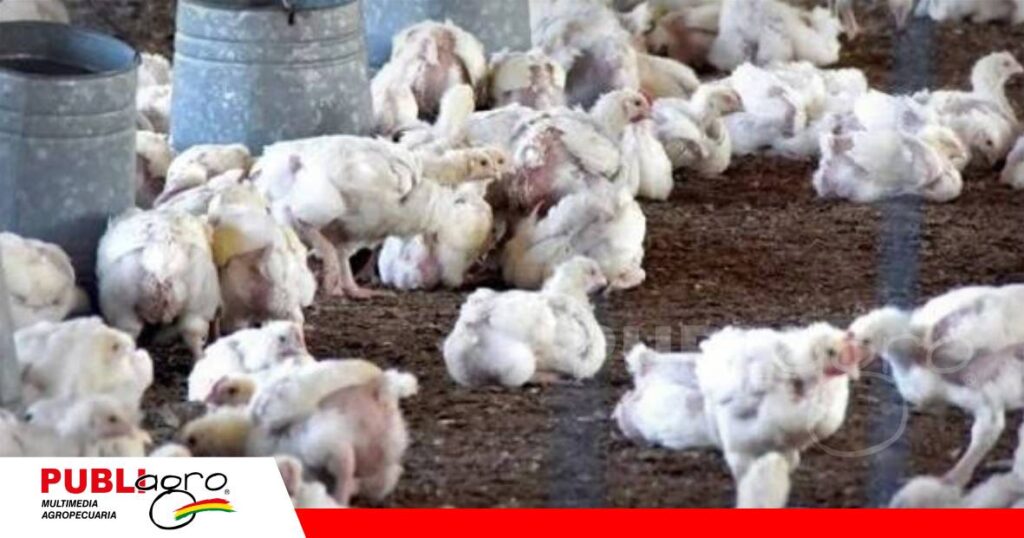 FOTO NOTAS WEB (67) Productores avanzan en una estrategia financiera para la reactivación del agro/ Foto: Internet