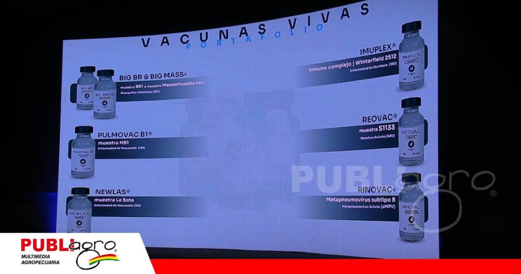 FOTO NOTAS WEB (71) Prevención y vacunación, ejes para una avicultura más competitiva/ Foto: Publiagro
