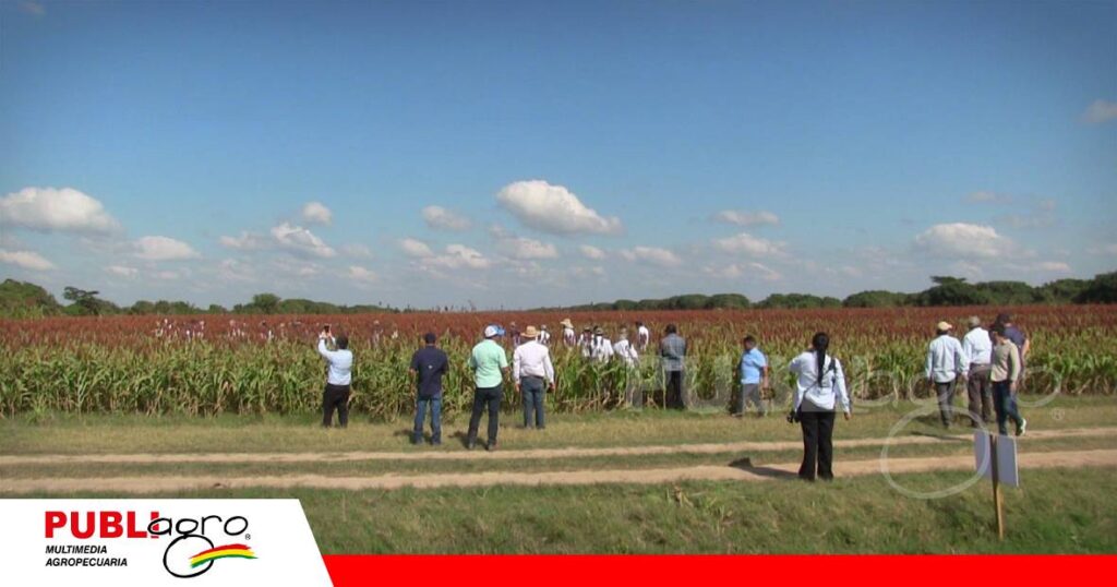 Innovación y tecnología para conocimiento de los productores/ Foto: Publiagro