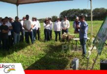 El suelo no se hereda, se construye con manejo y tecnología Construir productividad va más allá de una buena cosecha / Foto: Publiagro