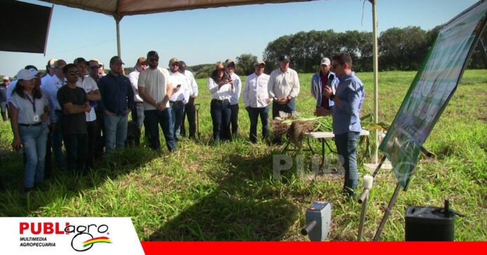 Construir productividad va más allá de una buena cosecha / Foto: Publiagro