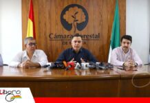 Resultados de laboratorio descartan sustancias controladas en cargamentos forestales retenidos Sector forestal pide normalizar exportaciones/ Foto: CFB