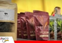 Un orgullo que nace en los Yungas: Bolivia destaca con el mejor té verde y rojo de Sudamérica Apoyo del gobierno a productores del Té/ Foto:Ministerio de Turismo Sostenible, Cultura Folklore y Gastronomía