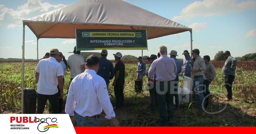 FOTO NOTAS WEB (91) Los cultivos de cobertura ayudan a recuperar el suelo/ Foto: Publiagro