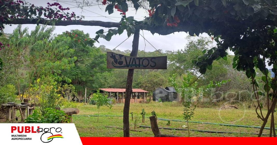 FOTO NOTAS WEB (93) Granja “Vatos”: un proyecto agroturistico familiar/ Foto: Publiagro