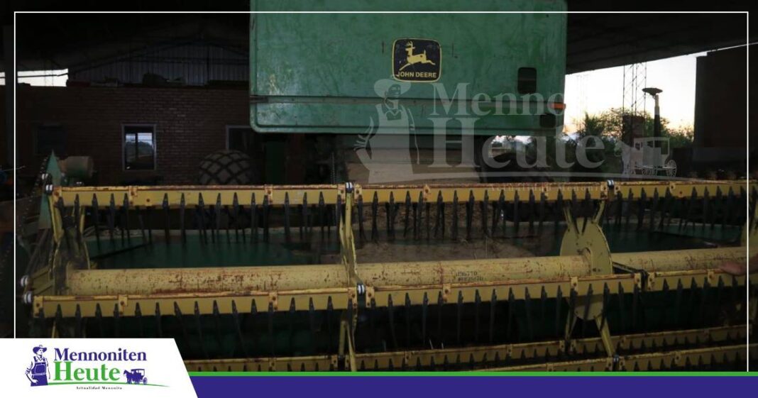 **Belice II wist ehren produktiven Waj. / Foto: Notiamazónico**