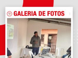 📷Galería de fotos | Mejoramiento genético en la raza Girolando