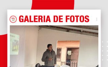 📷Galería de fotos | Mejoramiento genético en la raza Girolando