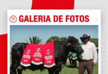 📷Galería de fotos | Quinto remate Girolando Nacional
